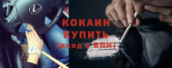 сатива Протвино