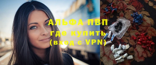 стаф Приозерск