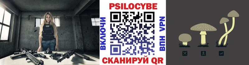 МЕГА как войти  Павловская  Псилоцибиновые грибы Magic Shrooms 